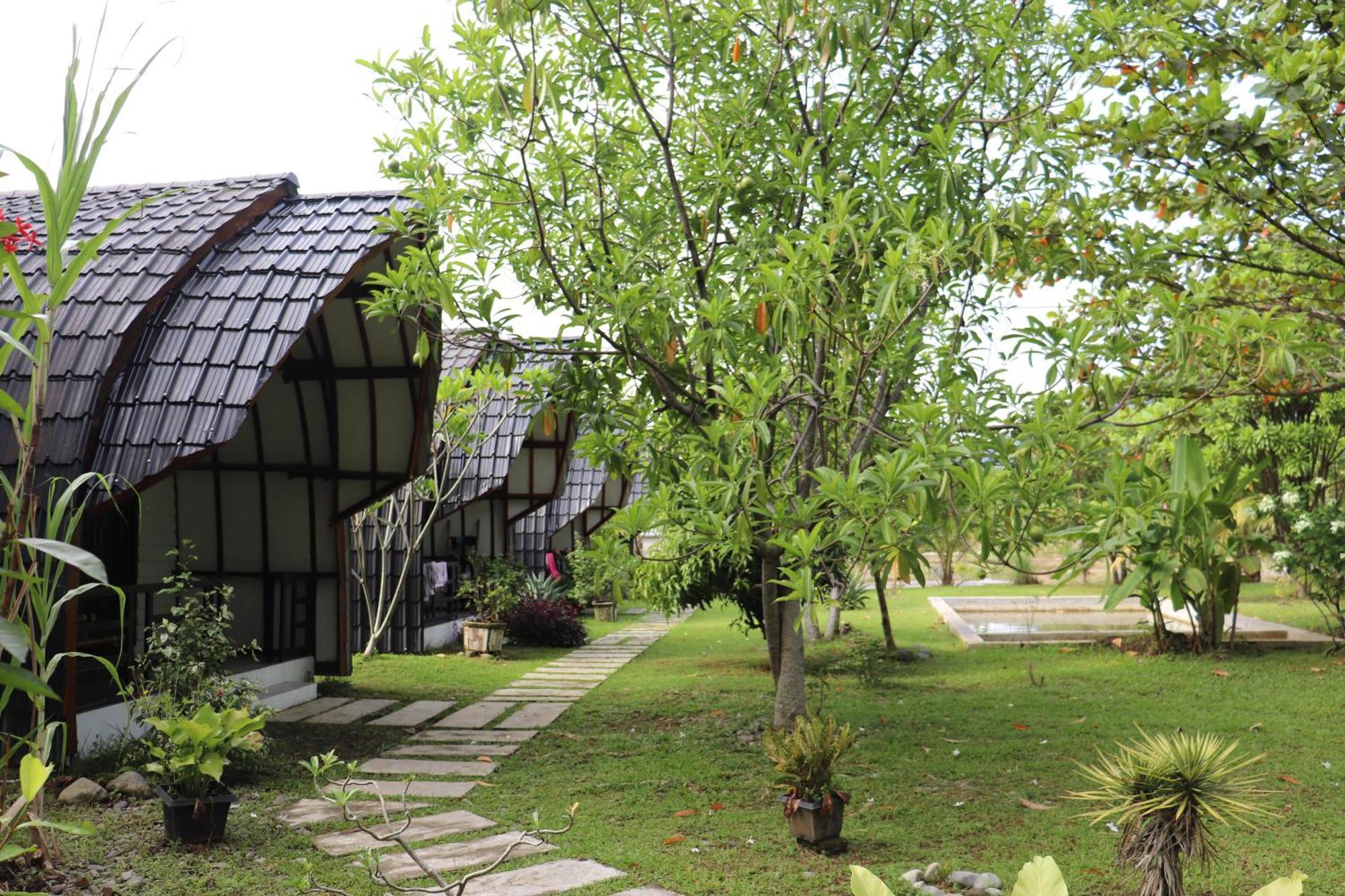 Gino'S Place - Guest House & Jungle Trekking Букит-Лаванг Экстерьер фото