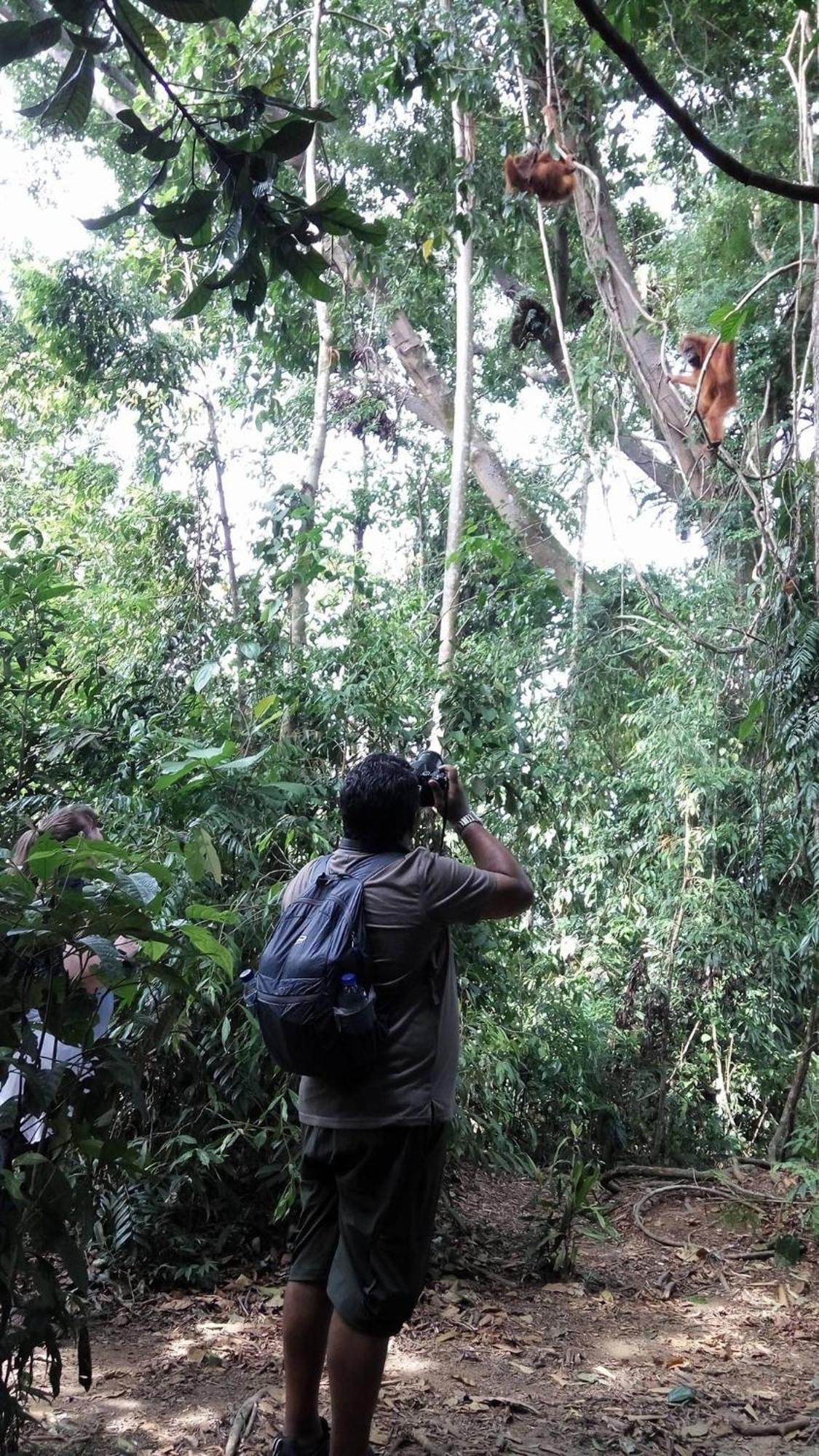 Gino'S Place - Guest House & Jungle Trekking Букит-Лаванг Экстерьер фото