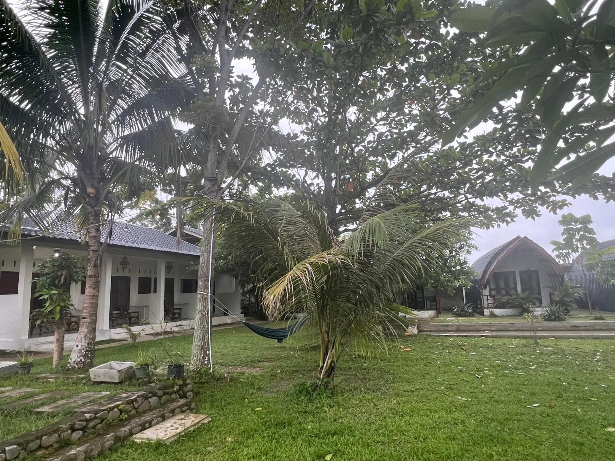 Gino'S Place - Guest House & Jungle Trekking Букит-Лаванг Экстерьер фото