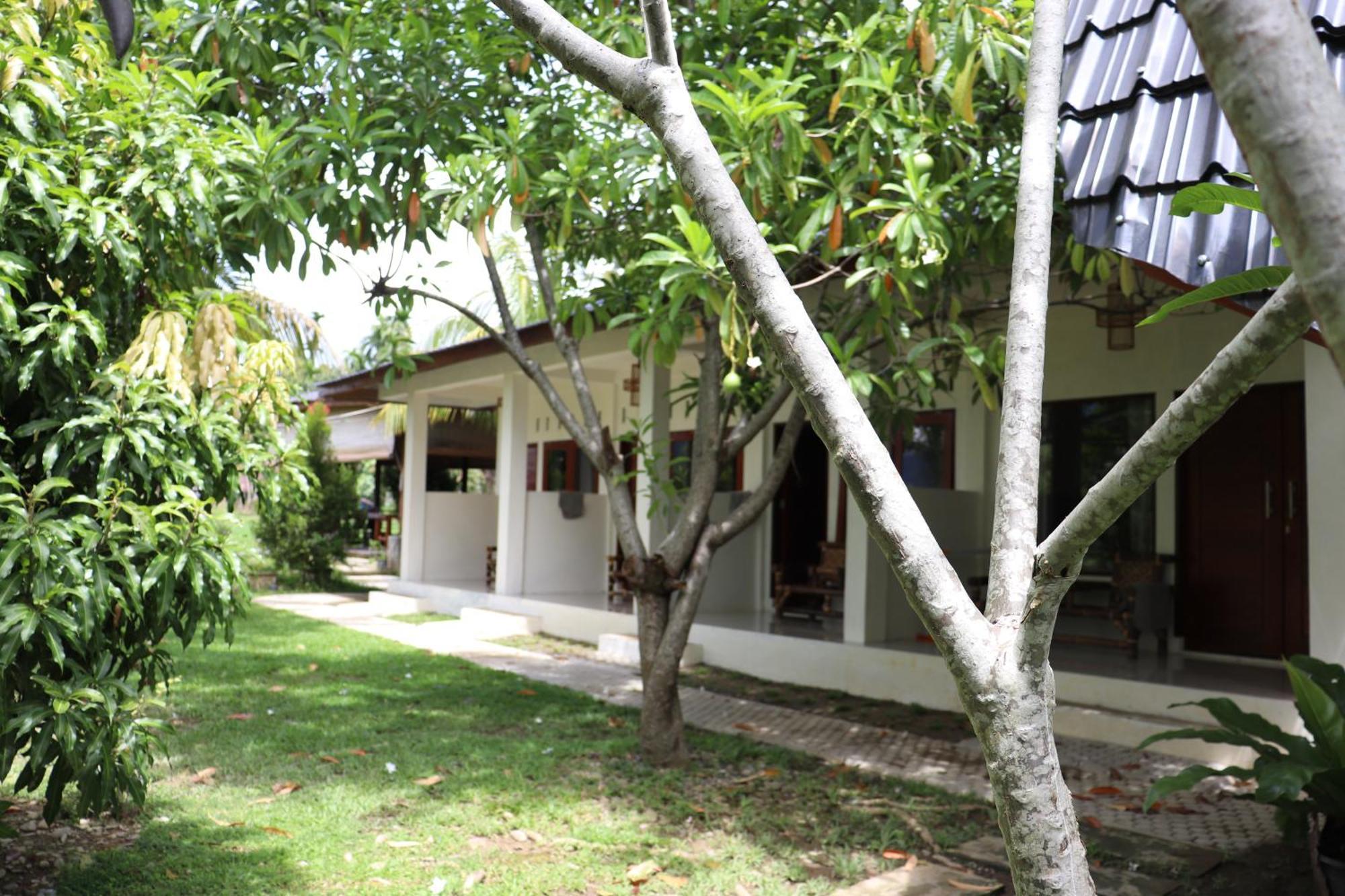 Gino'S Place - Guest House & Jungle Trekking Букит-Лаванг Экстерьер фото
