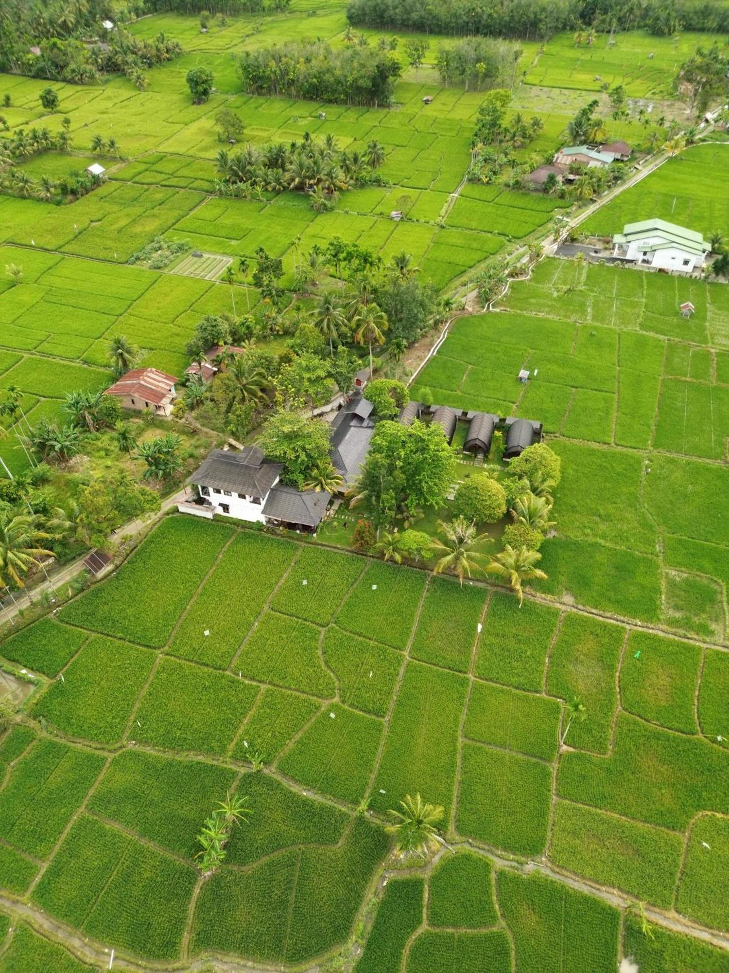 Gino'S Place - Guest House & Jungle Trekking Букит-Лаванг Экстерьер фото